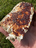 Lusa-style Harissa